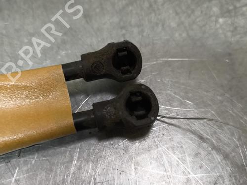 tailgate-lift-support-renault-scenic-iii-jz01_-2008-2009-2010-2011-2012-2013-2014-2015-2016-31214683 main image