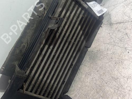 Intercooler FIAT 500 (312_) 0.9 (312AXG1A, 312.AXG11) | BP26177537M30 