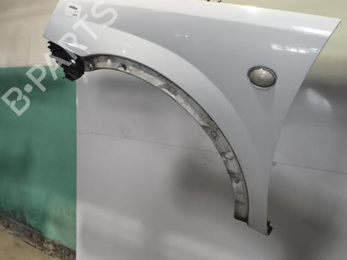 Left front fenders OPEL COMBO Box Body/MPV 1.3 CDTI 16V | BP26894104C41 