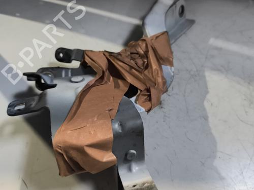 Hinge/Door check strap RENAULT CLIO IV (BH_) 1.5 dCi 75 | BP24527071C146 