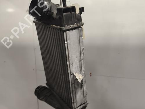 Intercooler Intercooler RENAULT SCÉNIC IV (J9_) 1.3 TCe 160 (J9NC) (159 hp) 36022173 36022173