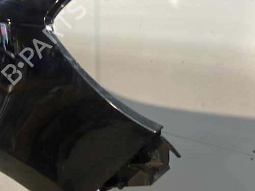 Right front fenders RENAULT CLIO III (BR0/1, CR0/1) 1.2 16V Hi-Flex (BR1U, CR1U) | BP29733634C42