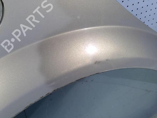 Left front fenders CITROËN C3 Pluriel (HB_) 1.6 | BP22031901C41 
