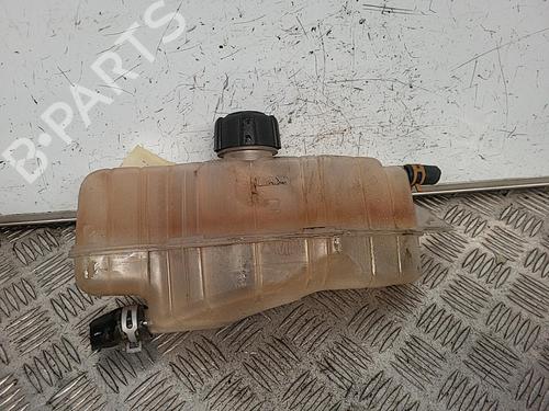 Expansion tank RENAULT CLIO III (BR0/1, CR0/1) 1.5 dCi | BP21718753C120 