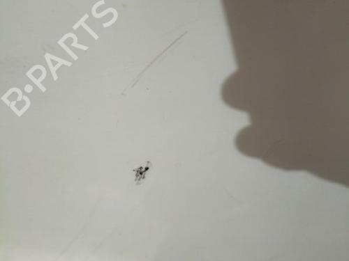 Hood RENAULT RAPID Box Body/MPV (F40_, G40_) Electric | BP23077583C1