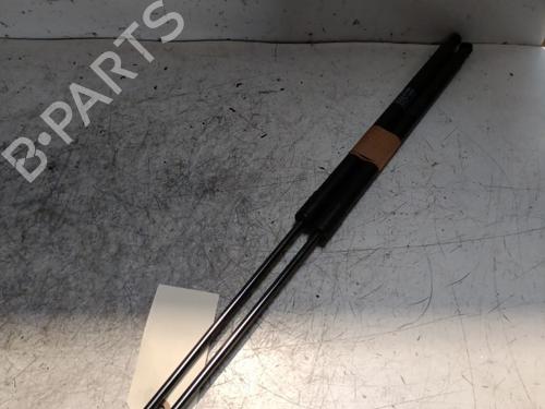 Tailgate lift support RENAULT SCÉNIC III (JZ0/1_) 1.6 dCi (JZ00, JZ12) | BP21712991C138 