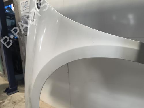 Left front fenders RENAULT LAGUNA III Grandtour (KT0/1) 1.5 dCi (KT0A, KT0R, KT02) | BP25444022C41