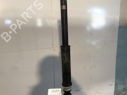 Høyre bak støtdemper RENAULT CLIO V (B7_) 1.0 TCe 90 (B7MT) (91 hp) 30775046