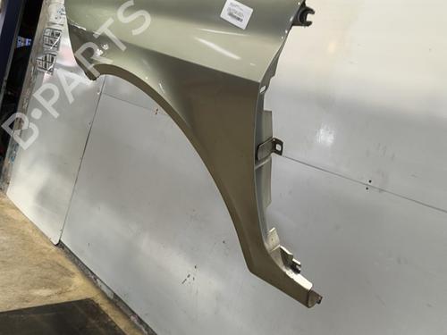 left-front-fenders-renault-laguna-ii-bg01_-2001-2002-2003-2004-2005-2006-2007-36014802 main image