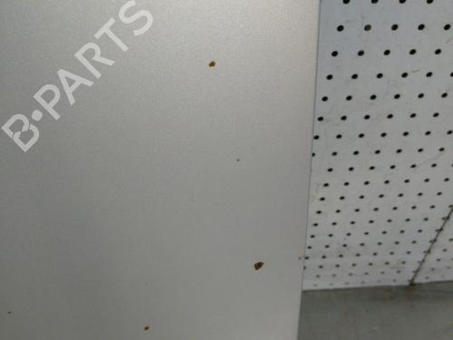 Used Hood VW GOLF IV (1J1) 1.9 TDI (110 hp) 22032120