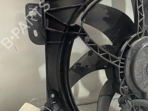 Used Radiator fan Radiator fan CITROËN C3 II (SC_) 1.4 HDi 70 (SC8HZC, SC8HR0, SC8HP4) (68 hp) 24233129 24233129