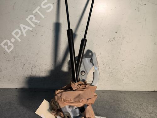 Hinge/Door check strap RENAULT MEGANE IV Hatchback (B9A/M/N_) 1.5 dCi 90 (B9A1) | BP29733362C146