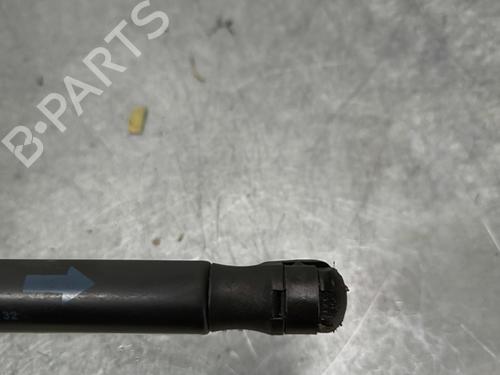 Tailgate lift support PEUGEOT 107 (PM_, PN_) 1.0 | BP29934777C138