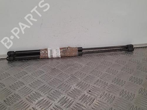Tailgate lift support NISSAN ALMERA II Hatchback (N16) 2.2 Di | BP21695921C138 