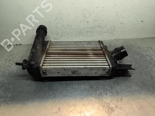 Intercooler DACIA SANDERO II TCe 90 (B8M1, B8MA, B8AC) | BP31257981M30