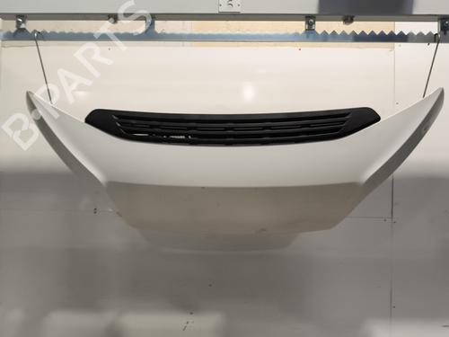 hood-fiat-ducato-van-250_-2006-31872403 main image