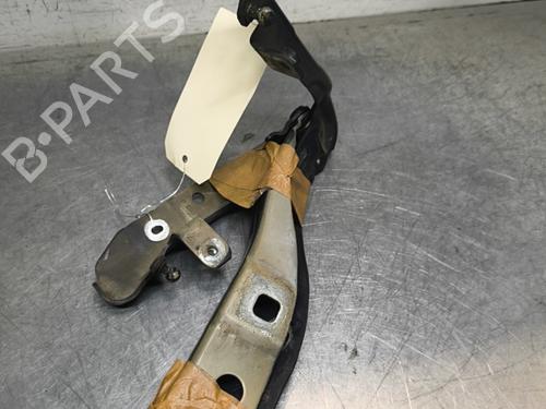 hingedoor-check-strap-ds-ds-5-kf_-2015-2016-2017-2018-32996718 main image