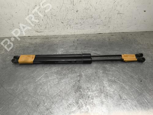 Used Tailgate lift support RENAULT GRAND SCÉNIC III (JZ0/1_) 1.6 dCi (JZ00, JZ12) (130 hp) 31214683