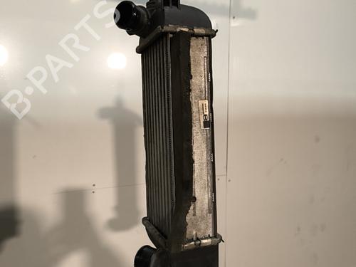 Used Intercooler Intercooler FIAT PANDA (312_, 319_) 1.3 D Multijet 4x4 (312PXL1A) (75 hp) 30356752 30356752