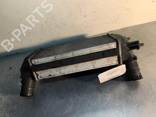 Intercooler FORD FIESTA VI (CB1, CCN) 1.0 EcoBoost | BP30491585M30