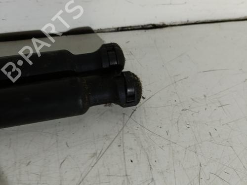 tailgate-lift-support-citroen-ds3-sa_-2009-2010-2011-2012-2013-2014-2015-2016-24526871 main image