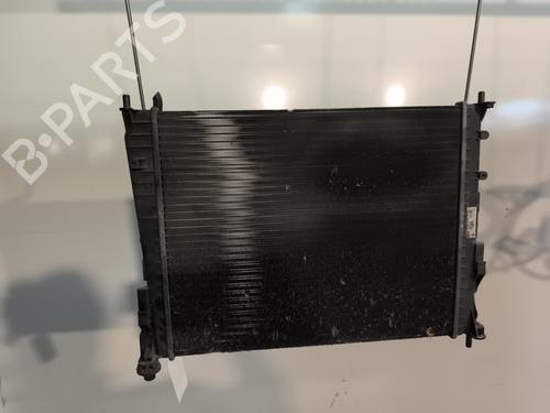 water-radiator-renault-twingo-ii-cn0_-2007-30357339 main image