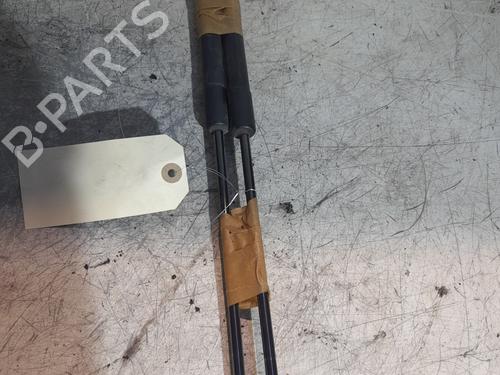 Used Tailgate lift support FORD FIESTA VI (CB1, CCN) 1.6 TDCi (90 hp) 22556462