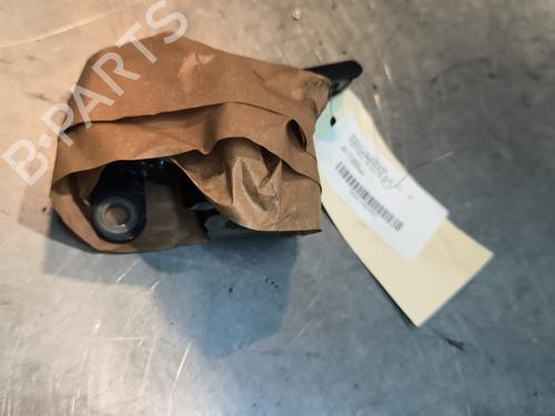 hingedoor-check-strap-renault-clio-v-b7_-2019-32994378 main image