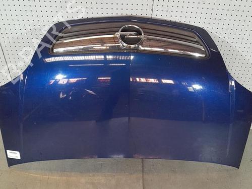 Hood OPEL MERIVA A MPV (X03) 1.7 CDTI (E75) | BP21695781C1 