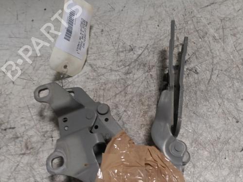 Hinge/Door check strap BMW 3 (E90) 325 d | BP21716927C146 