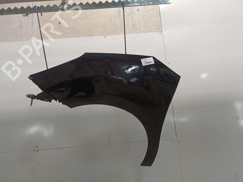 Left front fenders CITROËN C3 II (SC_) 1.4 | BP28166044C41 