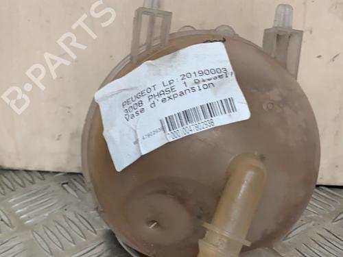 Used Expansion tank PEUGEOT 3008 I MPV (0U_) 2.0 HDi Hybrid4 (0URHCA) (200 hp) 21716215