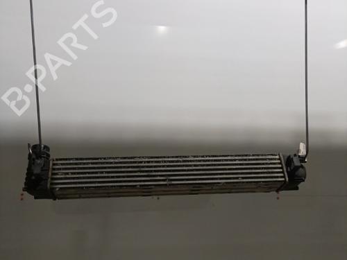 Used Intercooler Intercooler RENAULT SCÉNIC III (JZ0/1_) 1.5 dCi (106 hp) 21704871 21704871