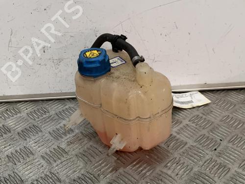Expansion tank FIAT PANDA (312_, 319_) 1.3 D Multijet 4x4 (312PXL1A) | BP21706989C120 