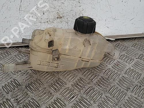 Used Expansion tank RENAULT MEGANE III Coupe (DZ0/1_) 1.5 dCi (DZ0B) (106 hp) 21718965