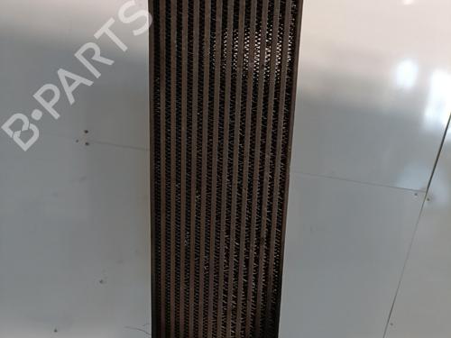 Used Intercooler RENAULT SCÉNIC II (JM0/1_) 1.5 dCi (JM02, JM13) (101 hp) 29081885