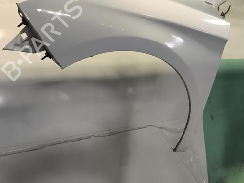 left-front-fenders-citroen-c4-ii-nc_-2009-24150277 main image