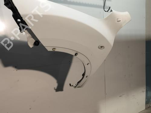 Left front fenders NISSAN JUKE (F15) 1.5 dCi | BP29733373C41 