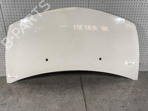 Hood RENAULT CLIO III (BR0/1, CR0/1) 1.5 dCi (BR17, CR17) | BP21697330C1 