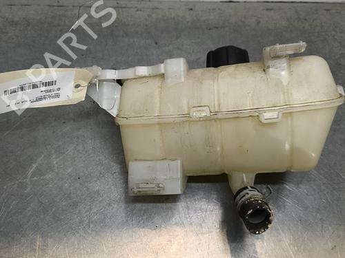 Używane Zbiornik wyrównawczy RENAULT KANGOO Express (FW0/1_) 1.5 dCi 95 (FW16) (95 hp) 29893847