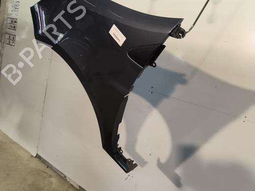 Left front fenders RENAULT CLIO III (BR0/1, CR0/1) 1.2 16V Hi-Flex (BR1U, CR1U) | BP30357306C41