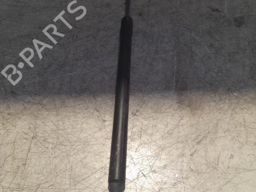 Tailgate lift support NISSAN QASHQAI / QASHQAI +2 I (J10, NJ10, JJ10E) 1.6 | BP21704737C138 
