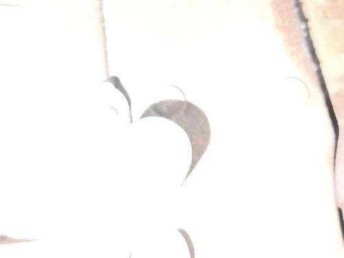 engine-dacia-duster-hs_-2010-2011-2012-2013-2014-2015-2016-2017-2018-32997365 main image