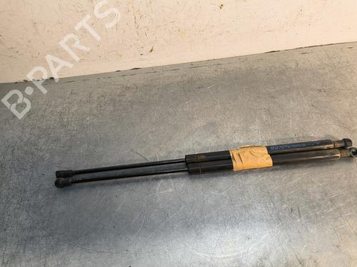tailgate-lift-support-fiat-panda-169_-2003-29711290 main image