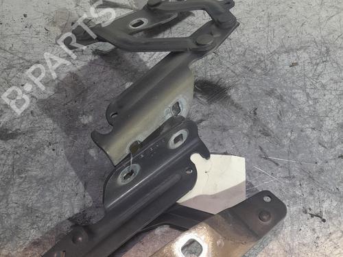 Hinge/Door check strap FORD FIESTA VI (CB1, CCN) 1.6 TDCi | BP22653024C146 