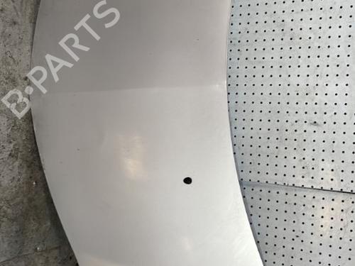 Used Hood RENAULT CLIO III (BR0/1, CR0/1) 1.5 dCi (BR17, CR17) (86 hp) 27328660