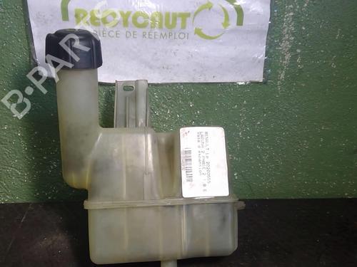 Ekspansjonstank RENAULT LAGUNA II (BG0/1_) 1.8 16V (BG04, BG0B, BG0C, BG0V) (117 hp) 21708835