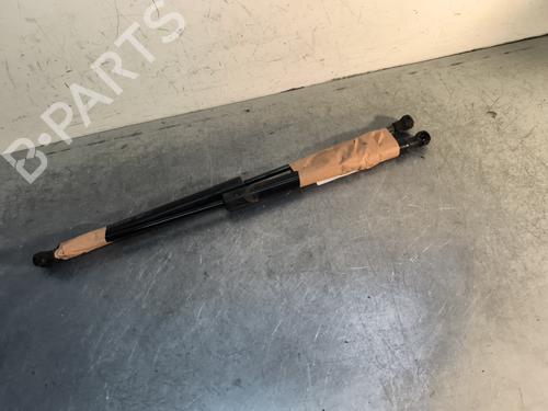 tailgate-lift-support-citroen-c3-ii-sc_-2009-30087973 main image