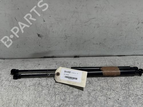 Used Tailgate lift support DACIA SANDERO II 1.5 dCi (90 hp) 25720950