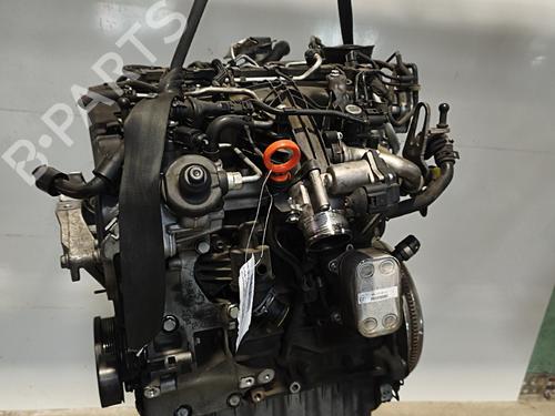 Engine VW GOLF PLUS V (5M1, 521) | BP36553786M1 - Image 5